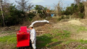 チッパシュレッター②